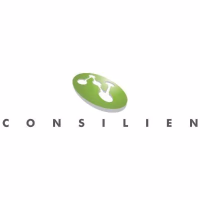 Consilien logo